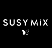 SUSY MIX