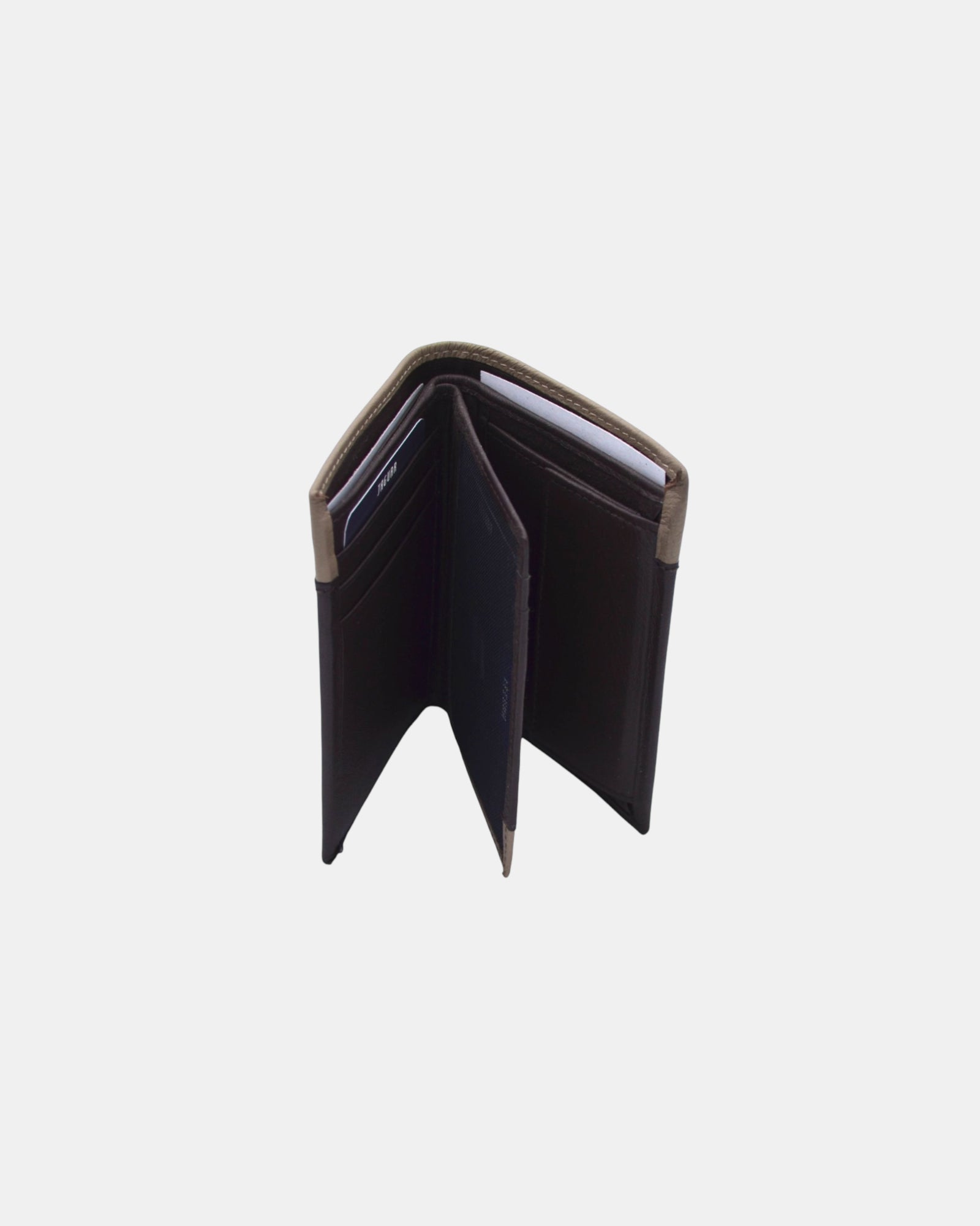 Jaguar Portafoglio Uomo Verticale in Vera Pelle 100%  mod. 743-48 con Portamonete