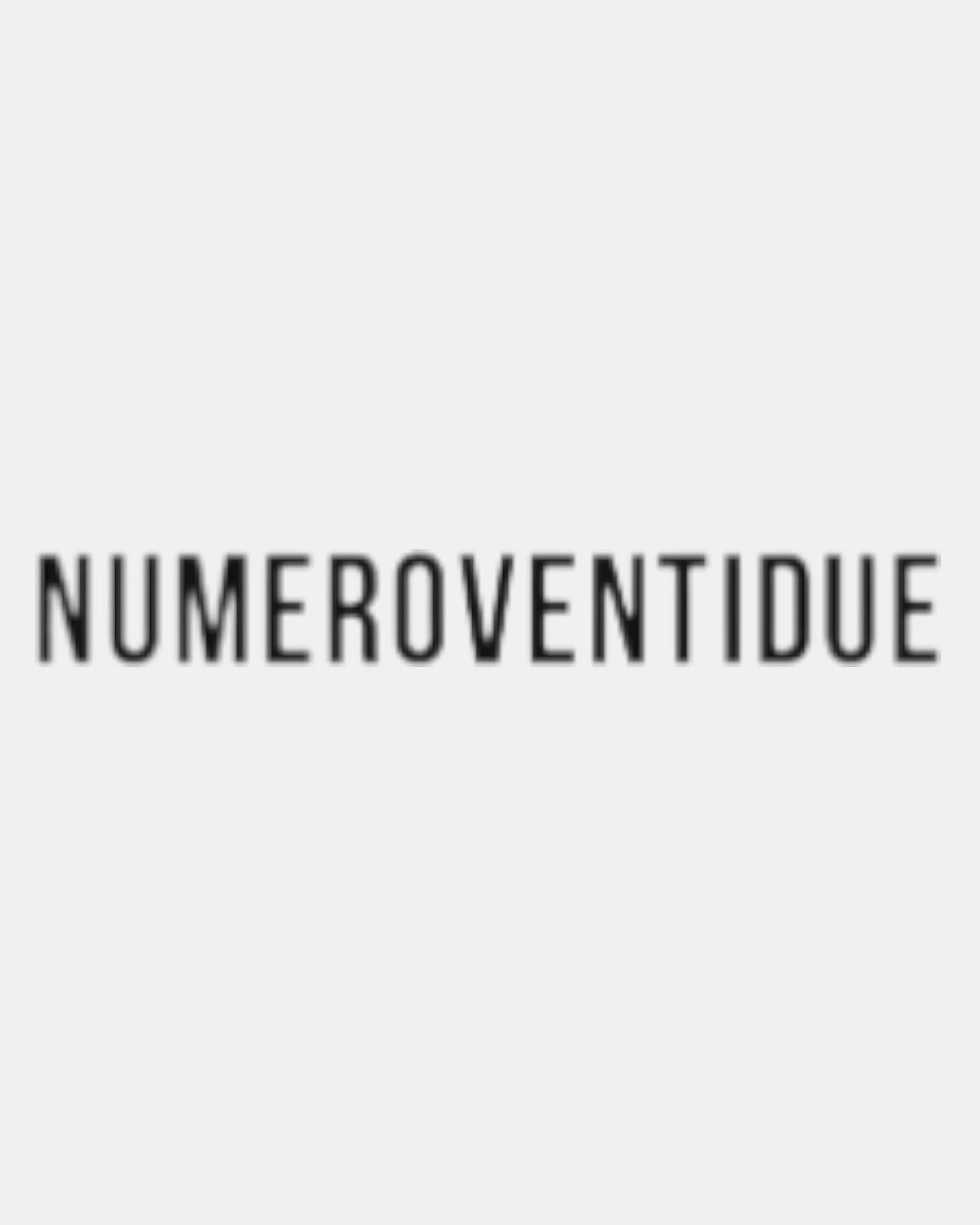 NUMEROVENTIDUE